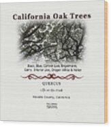 California Oak Tree Species Wood Print