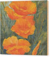 California Poppies Wood Print