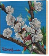 Calliope On Plum Blossoms Wood Print