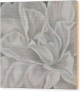 Camellia Wood Print