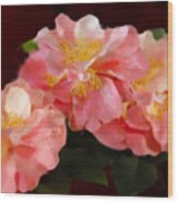 Camellias 1cmods1b Digital Painting Gulf Coast Florida Grlfineart Wood Print