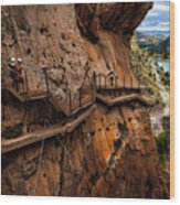 Caminito Del Rey - The Valley Below Wood Print