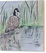 Canada Goose By Waterside Wood Print