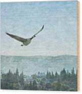 Canadian Goose Above Salmon Arm Wood Print