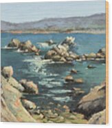 Canary Point Overlook Wood Print