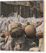 Cannonball Concretions Wood Print