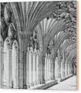 Canterbury Cathedral Cloisters 4 Wood Print