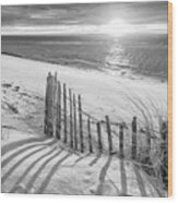 Cape Cod Beach Fence Wood Print