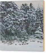 Cape May Snow Wood Print