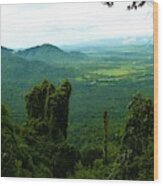 Cardamom Mountains Wood Print
