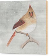Cardinal Female Wood Print