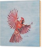Cardinal In Flight Wood Print