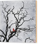 Cardinal In Winter Wood Print