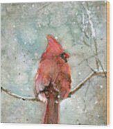 Cardinal In Winter Wood Print