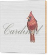 Cardinal - Male Northern Cardinal Wood Print