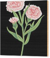 Carnation January Birth Month Flower Botanical Print On Black - Art By Jen Montgomery Wood Print