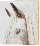 Caspian - Horse Art Wood Print