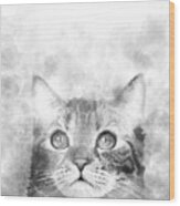 Cat 664 By Artist Lucie Dumas Wood Print