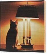 Cat Lamp Wood Print