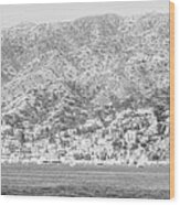 Catalina Island Black And White Panorama Photo Wood Print