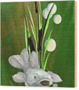 Catfish At Pickwick Lake Wood Print