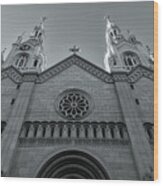 Cathedral Bw Wood Print