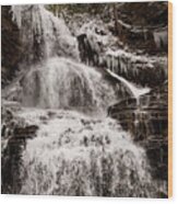 Cathedral Falls Top Winter 2 Wood Print