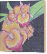 Cattleya Orchids Wood Print