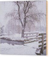 Cedar Creek Park - Winter Landscape Wood Print