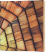Cedar Glass1641 Wood Print