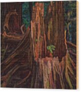 Cedar Stump Wood Print