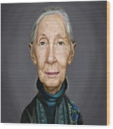 Celebrity Sunday - Jane Goodall Wood Print