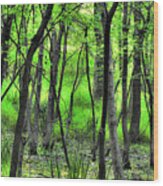 Centennial Trail - Romeoville, Illinois Wood Print