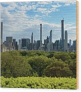 Seeking Serenity - Central Park, New York City Skyline Wood Print