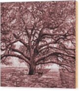 Century Tree In Maroon Wood Print
