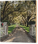 Charleston Plantation Entrance At Christmas Wood Print