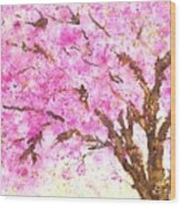 Cherry Blossom Wood Print