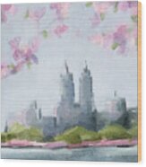 Cherry Blossoms Central Park Reservoir Nyc Wood Print