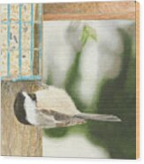 Chickadee Hang Out Wood Print