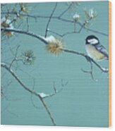 Chickadee Singbird Wood Print