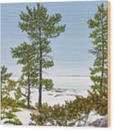 Chikanishing Winter Wood Print