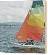 Childern Racing Sailing A Small Catamaran Sailboat With Colourfu Wood Print