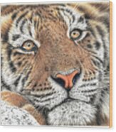 Chillin Tiger Wood Print