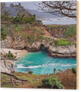 China Cove At Point Lobos Wood Print