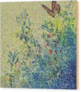 Chinese Butterfly Wood Print