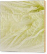 Chinese Cabbage Wood Print