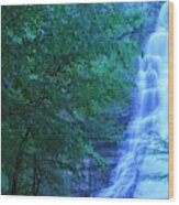 Chittenango Falls Wood Print