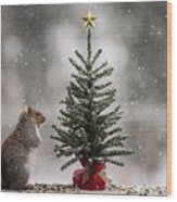 Christmas Squirrel Find The Magic Wood Print