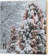 Christmas Trees In Blizzard #6455 Wood Print