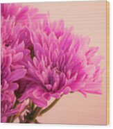 Chrysanthemums Bold And Beautiful 7 Wood Print